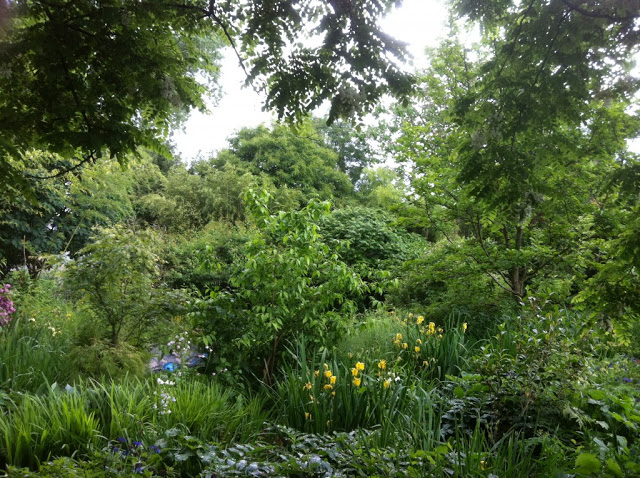 Asian Garden pond view